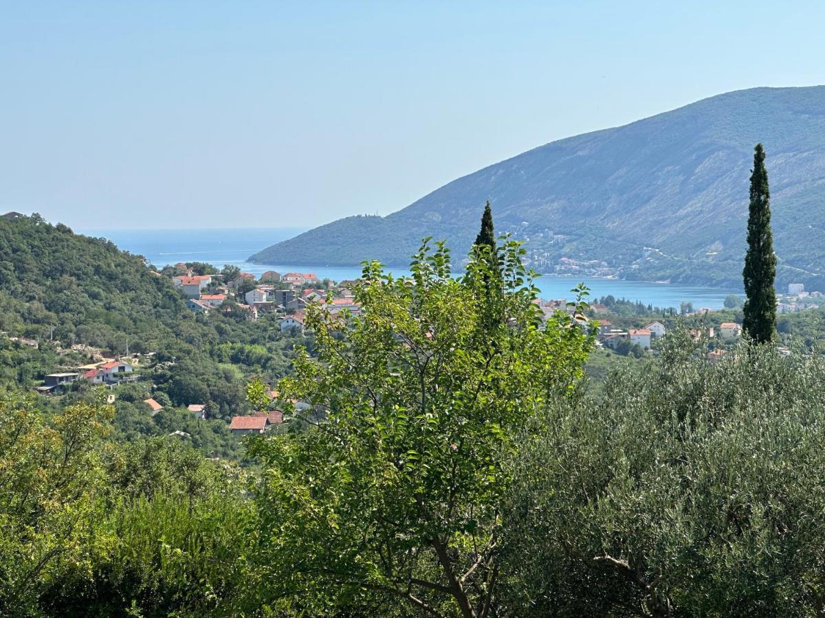 Ferienwohnung Apartman Sofija Hn Herceg Novi Exterior foto